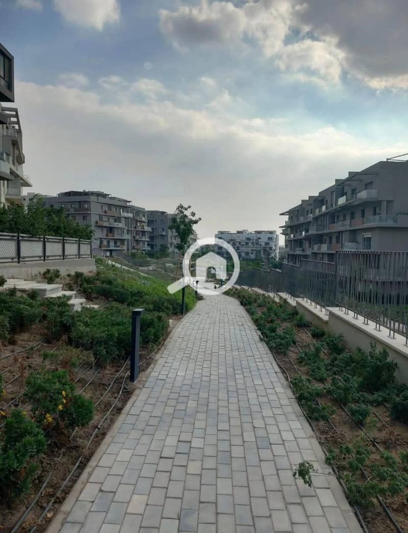 8 534962628_122208499826262866_707217390533936307_n. jpg