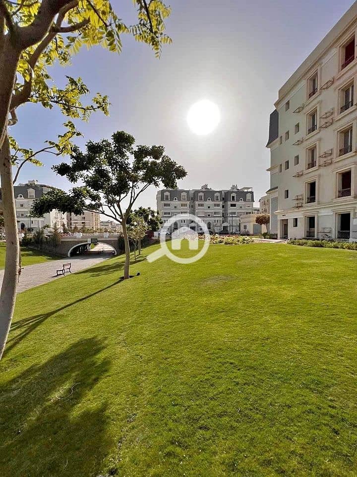 5 WhatsApp Image 2024-07-01 at 15.14. 12_b1a634f3. jpg