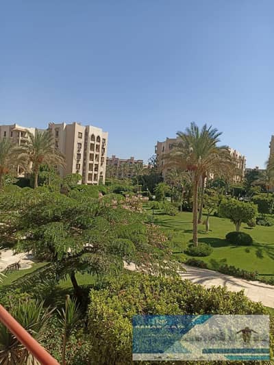 2 Bedroom Flat for Sale in New Cairo, Cairo - WhatsApp Image 2025-11-10 at 6.24. 15 PM. jpeg