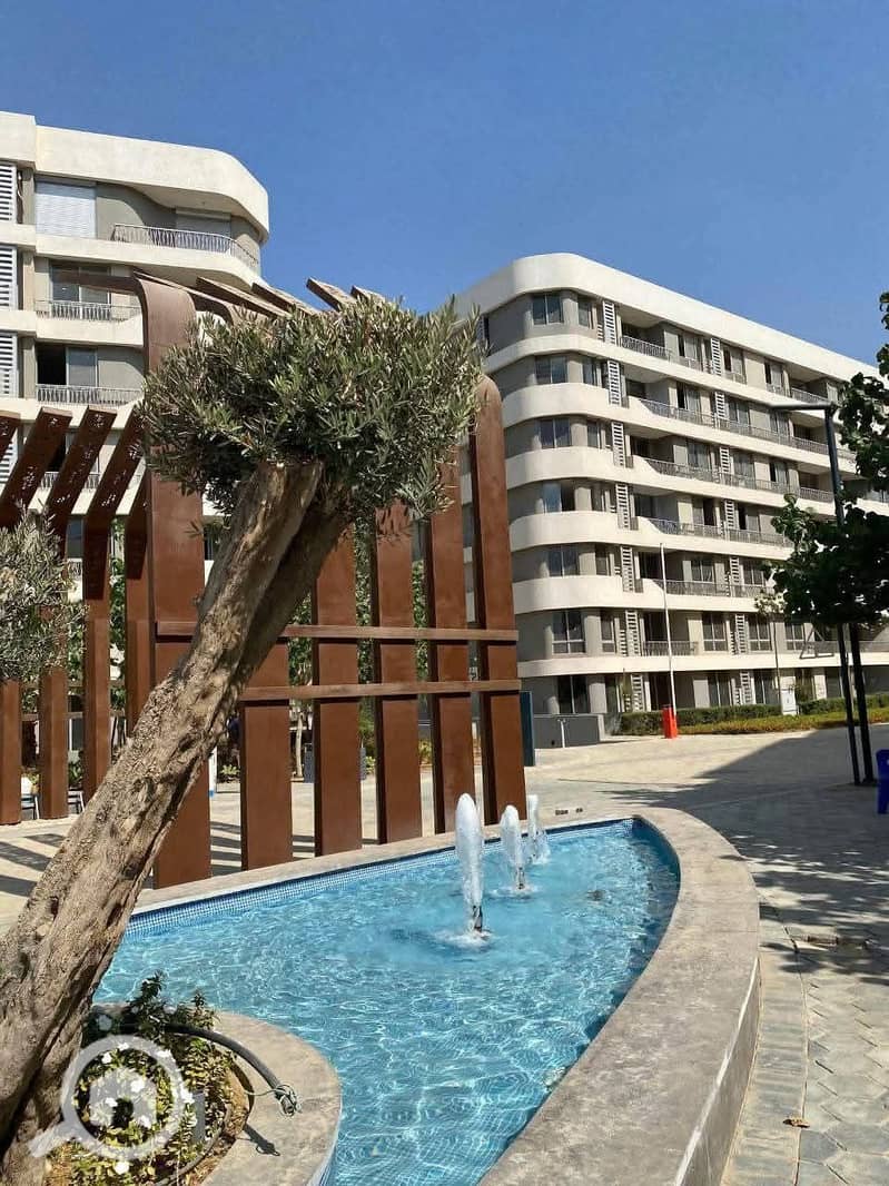 7 88f955ce-c062-411f-9c55-fd157f169e81. jpeg