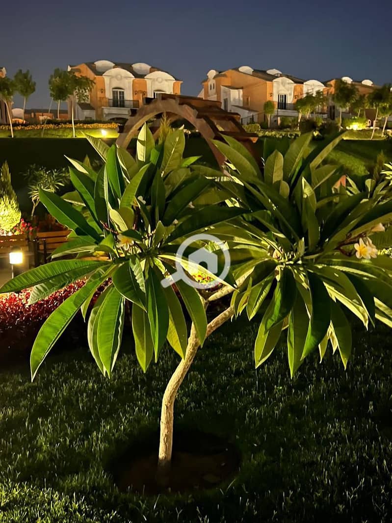 9 5ee6801c-d83d-4424-bad4-4322629ba414. jpg