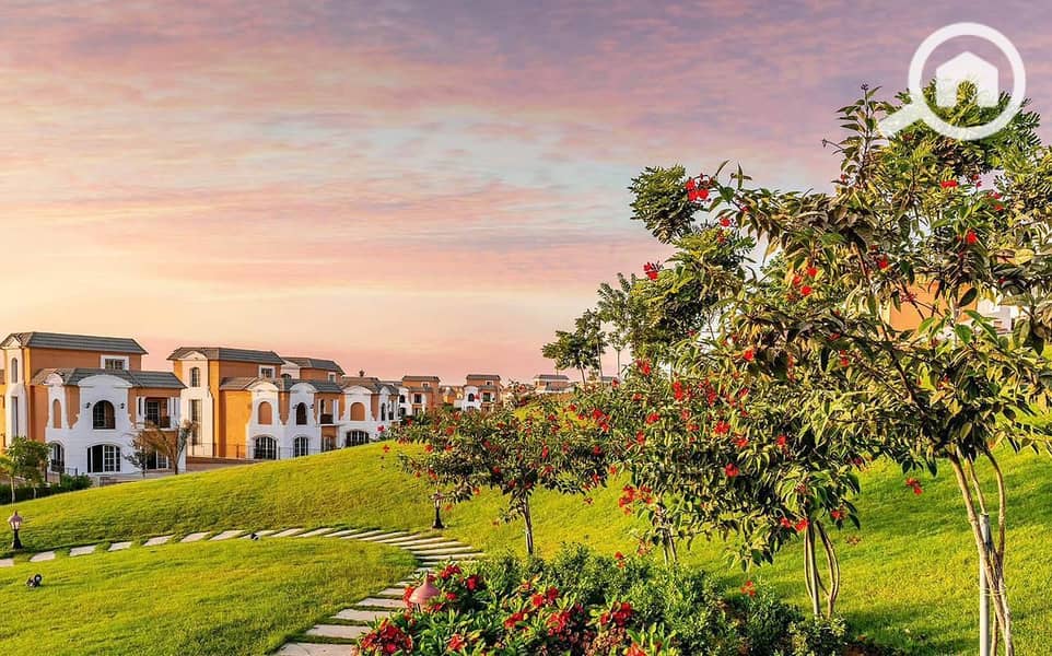 19 ff61923e-e7da-4199-ae8a-c9f492e690ab. jpg