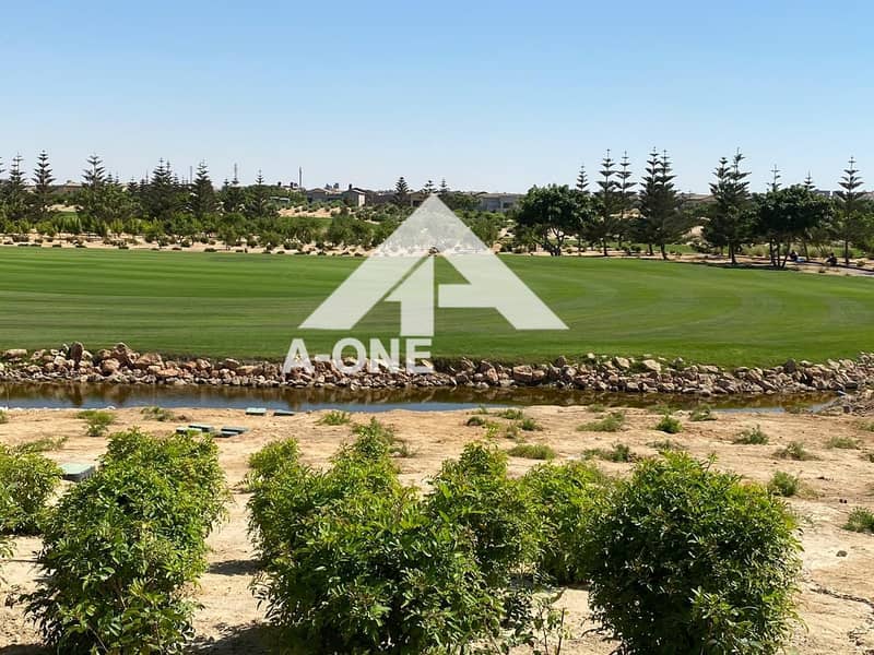 7 e96606f8-aa72-4bb9-9e15-9170ca67874a. jpeg