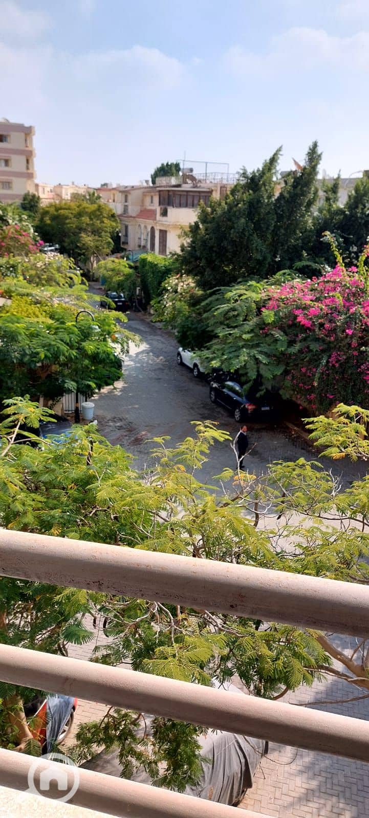 6 c3d01be3-c835-4692-b7ab-bdbbe244154d. jpg