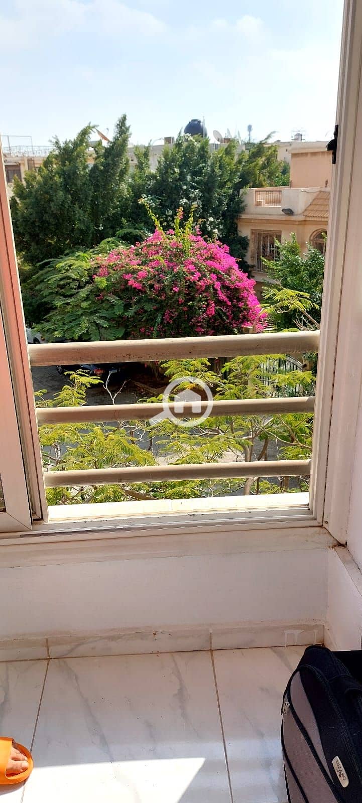 7 f3a49cad-b01e-4fb2-a549-9ac633e7ea82. jpg