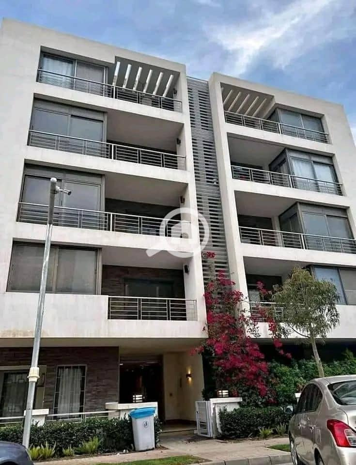 9 463299136_419611714513777_2979347348644733842_n. jpg