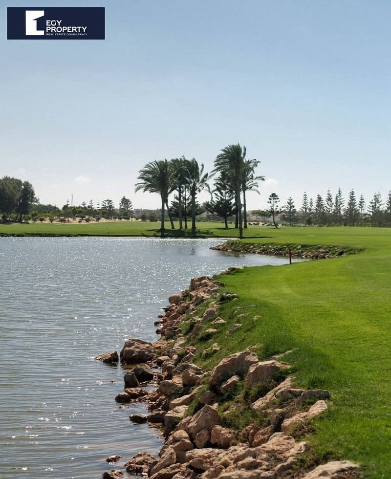 9 e952f1f9-ab95-4be0-9b24-b0cb96fe78b5. jpg