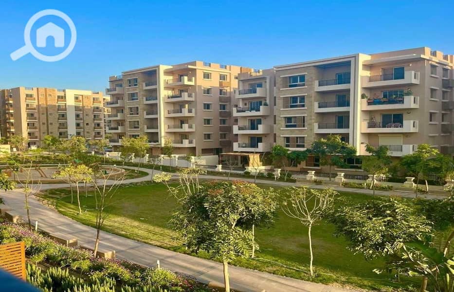 5 441543771_8362766227071505_4337893014752285231_n. jpg