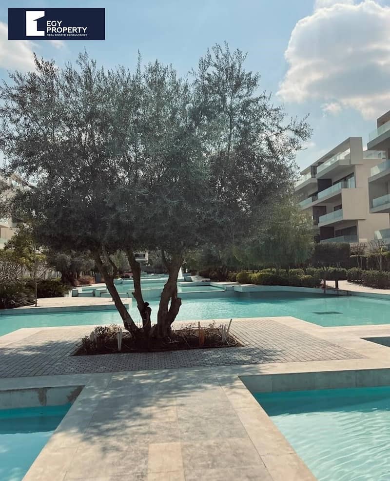 e9eb16b5-4b3d-4c45-9252-8c66c7216c87. jpg