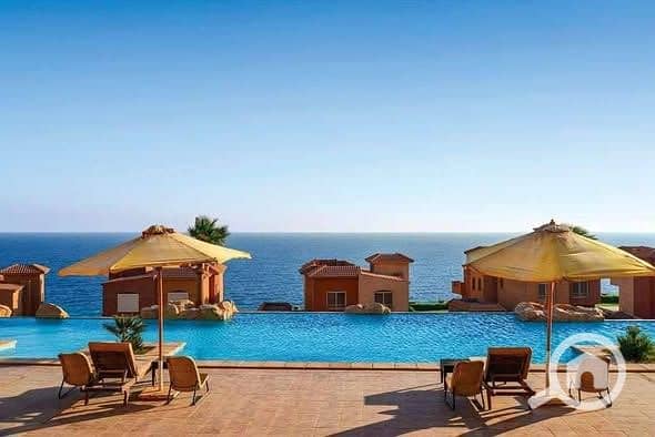 528726243_122149695944611646_817397576800559365_n. jpg