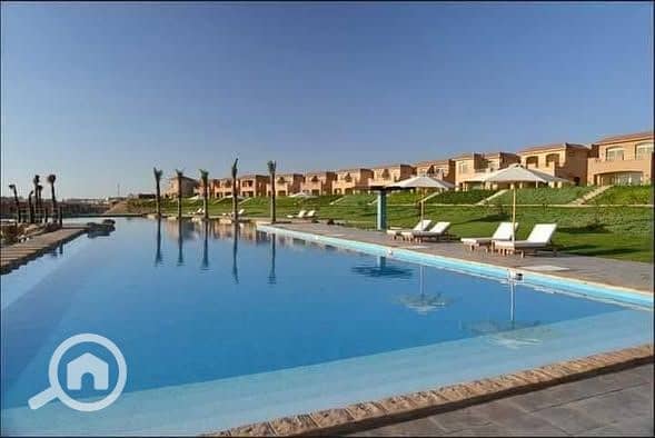 3 529009694_122149695080611646_4389310769584823888_n. jpg