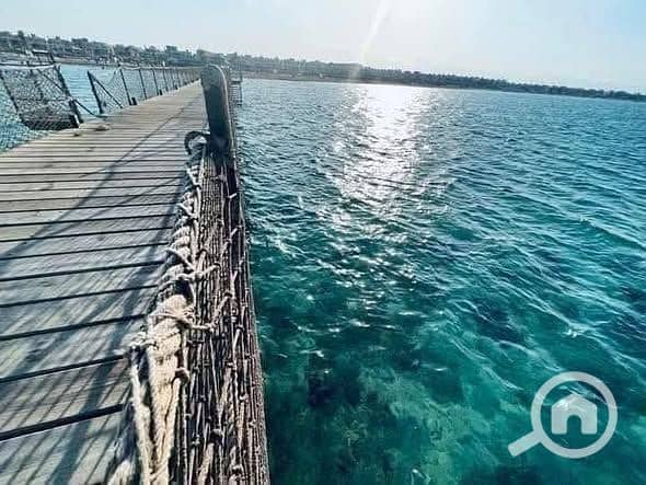 6 557435698_24952157504396210_6175863475697495461_n. jpg