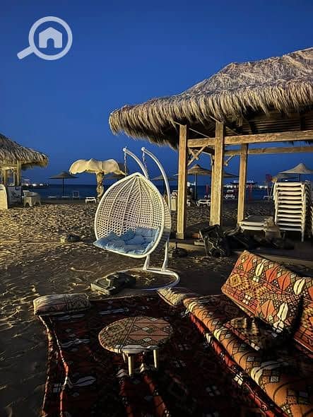 7 559003890_24952165291062098_1712505006834123557_n. jpg