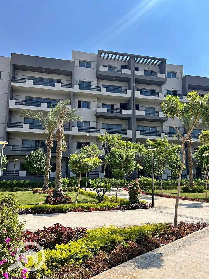 555619497_1439515907132560_7496704198061558324_n. jpg