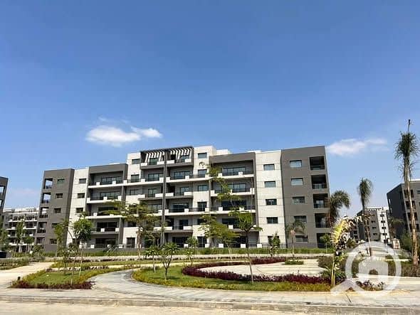 11 571052688_122198942966302548_822738614819457222_n. jpg