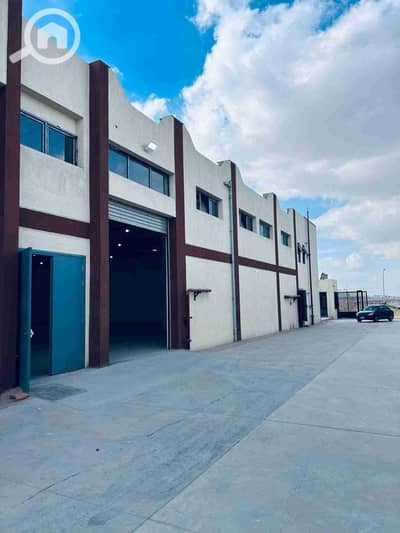 Factory for Rent in 10th of Ramadan, Sharqia - 1000210977. jpg