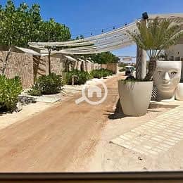 5 546620071_647982818357838_260139709597835289_n. jpg