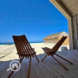 8 571252973_847331654646394_935673837807288328_n. jpg