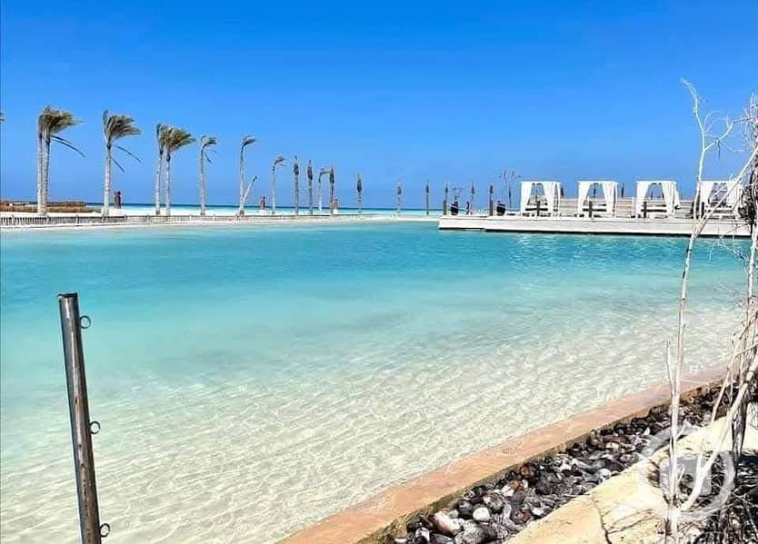 9 567521096_1147887130820173_4904136718584703885_n. jpg