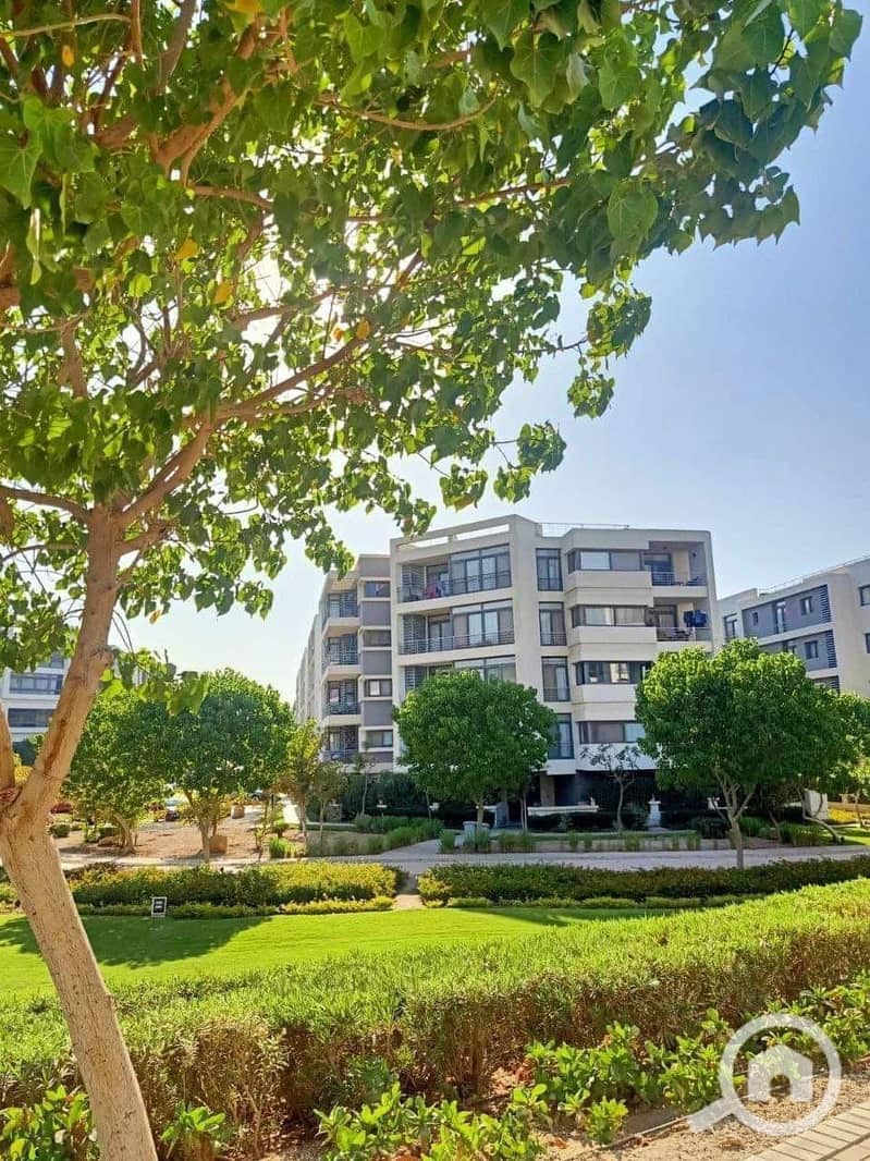 WhatsApp Image 2025-01-03 at 22.58. 03_cf729f97. jpg