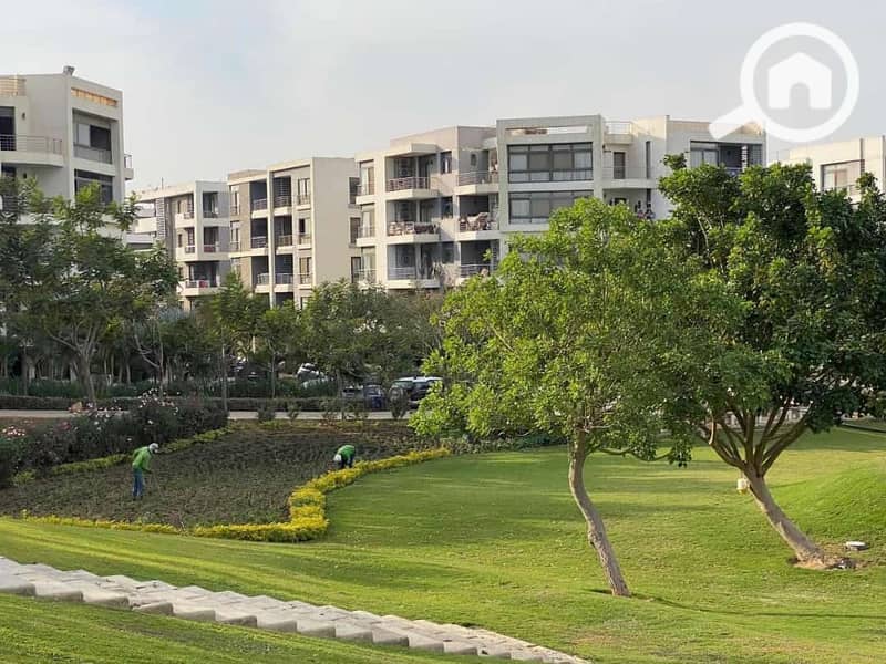 6 WhatsApp Image 2024-03-27 at 22.37. 26_377684a9. jpg