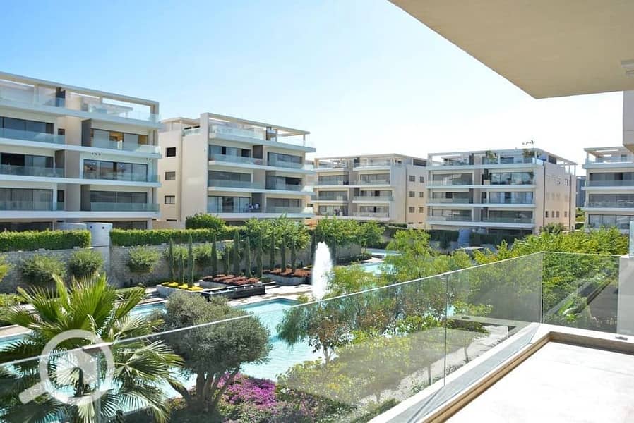 422000140_3757183961228790_2692962949696757814_n. jpg