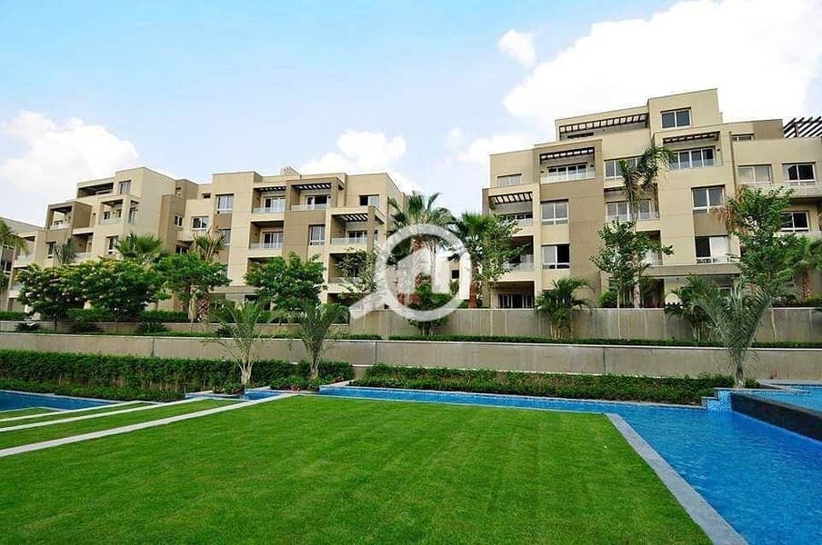 3 313134447_5453972741365361_3295027459344144957_n. jpg