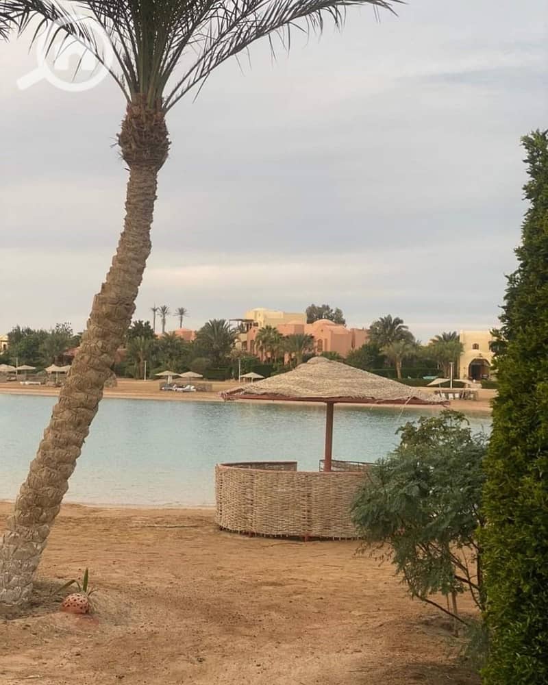 8 WhatsApp Image 2025-08-11 at 15.24. 12_a397dfba. jpg