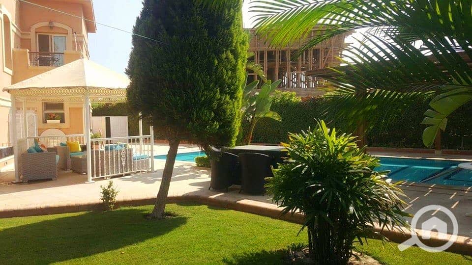 11 20210102_222244. jpg