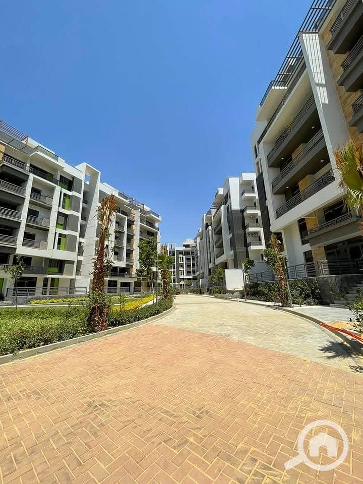 4 543484925_819557643984582_5670958429353850906_n. jpg