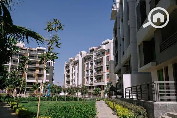 6 525922808_618097468000293_5054084233864030180_n. jpg