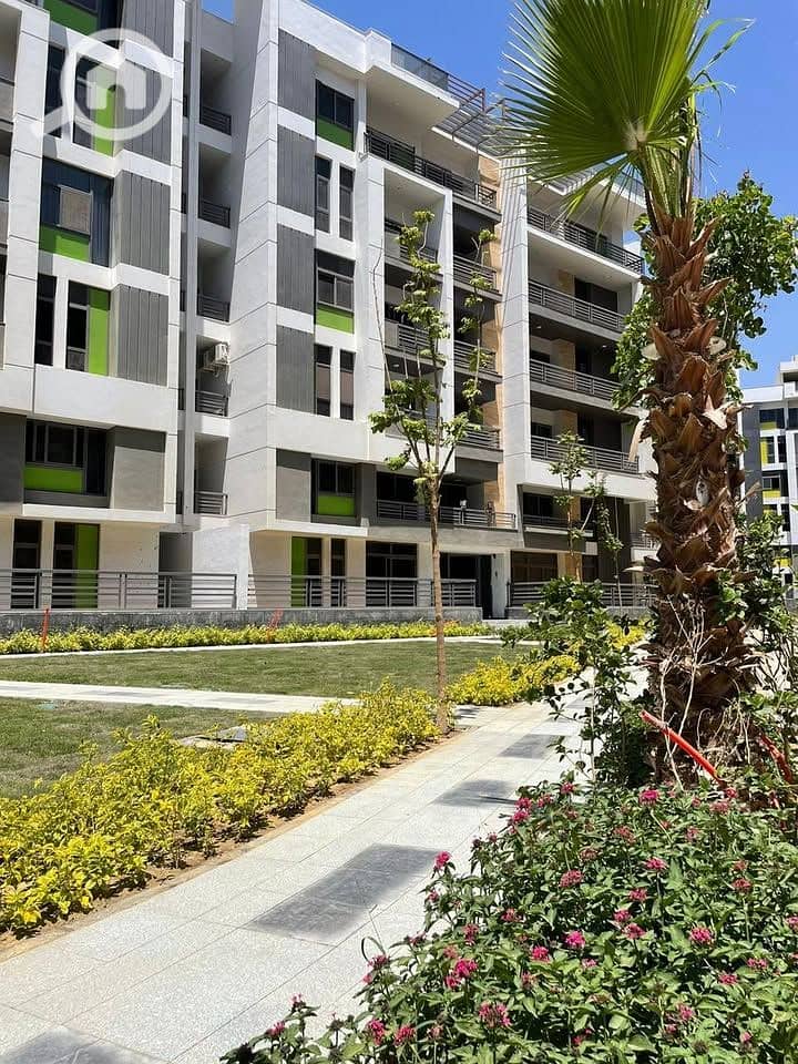 7 543412787_819557607317919_6566399594449008679_n. jpg