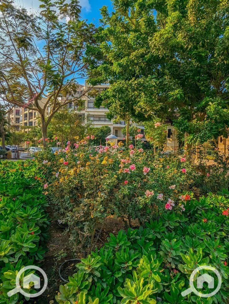 4 a74f4a2a-c3f8-4d63-b2ad-3067bc6aacea. jpg