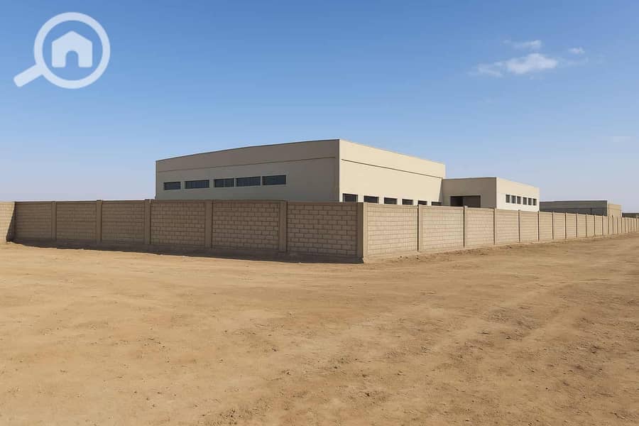 5 67639980-4ea6-4d94-aec8-1c6f5103318d (1). jpeg