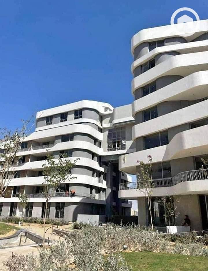 8 472501342_122185865228170009_4323867963281261251_n. jpg