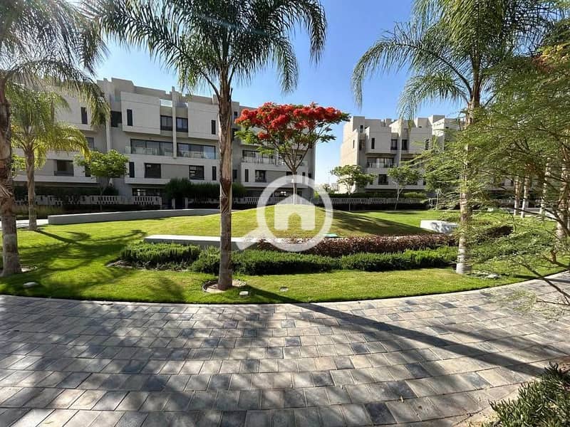 9 488278586_122166585350301231_5651024349914901241_n. jpg