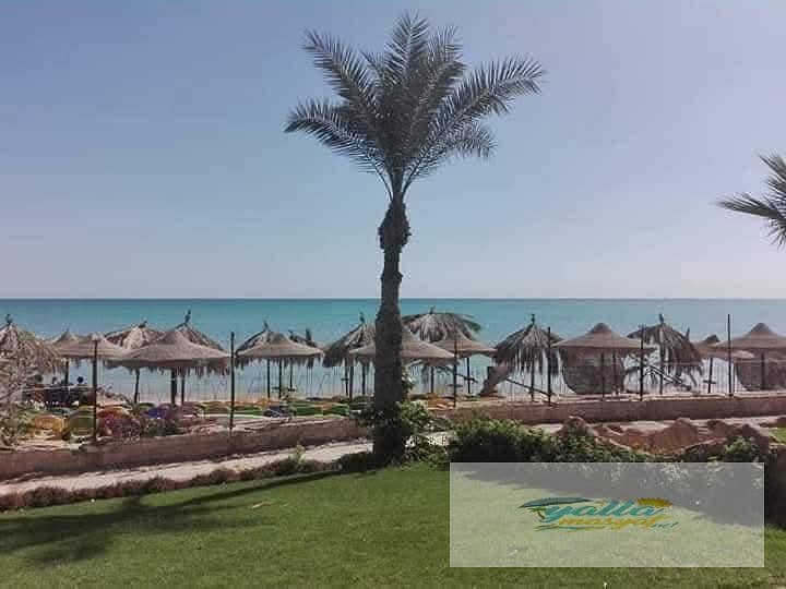 25 68f3bef164519_WhatsApp-Image-2025-10-15-at-1.43. 13-PM-(1). jpeg