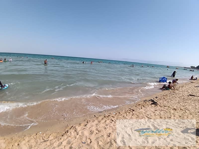 26 68f3bef0c3006_WhatsApp-Image-2025-10-15-at-1.43. 12-PM. jpeg