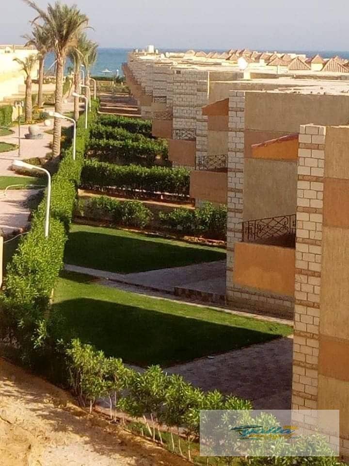 2 10492097881613057696. jpg