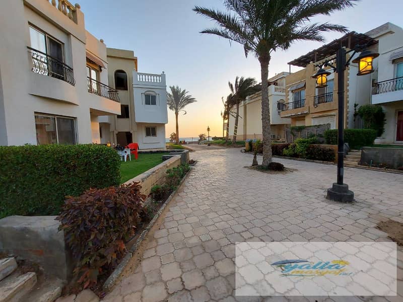 2 68f3b3e6407c3_WhatsApp-Image-2025-10-14-at-2.57. 16-PM. jpeg