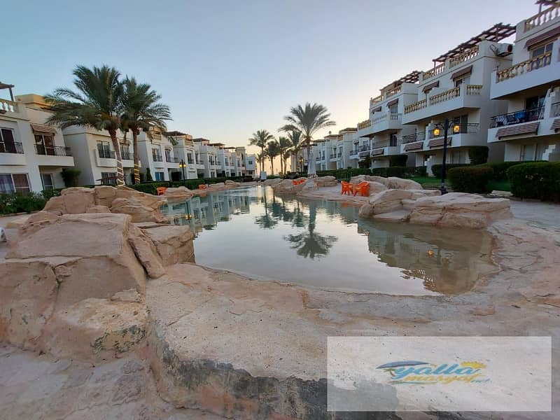 3 68f3b3e92efd0_WhatsApp-Image-2025-10-14-at-2.57. 16-PM-(1). jpeg