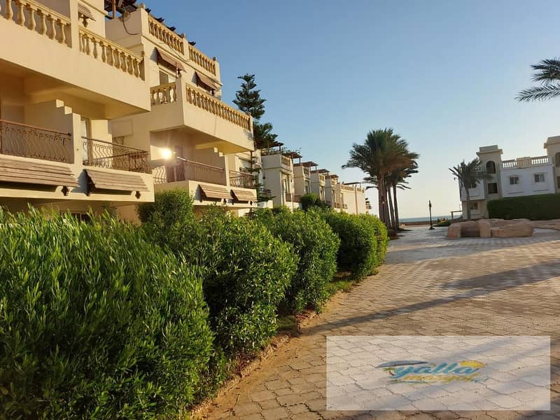 4 68f3b499c421c_WhatsApp-Image-2025-10-14-at-2.57. 18-PM. jpeg