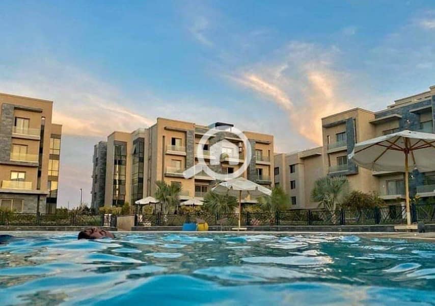 12 369706359_824052402516657_8001530417510364215_n. jpg