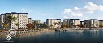 12 الحي اللاتيني54. jpeg