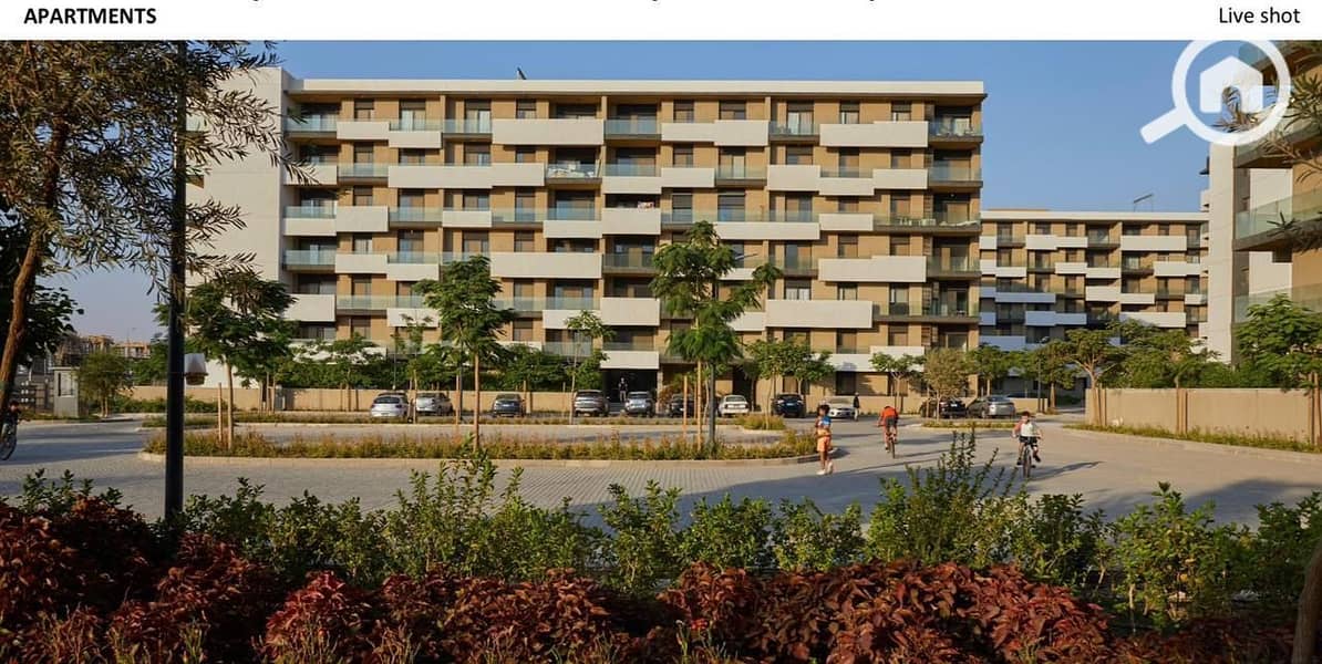 WhatsApp Image 2025-11-09 at 15.06. 04_954dbfa7. jpg