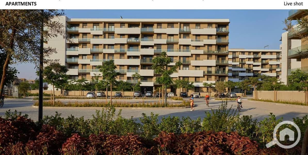 2 WhatsApp Image 2025-11-09 at 15.06. 04_954dbfa7. jpg