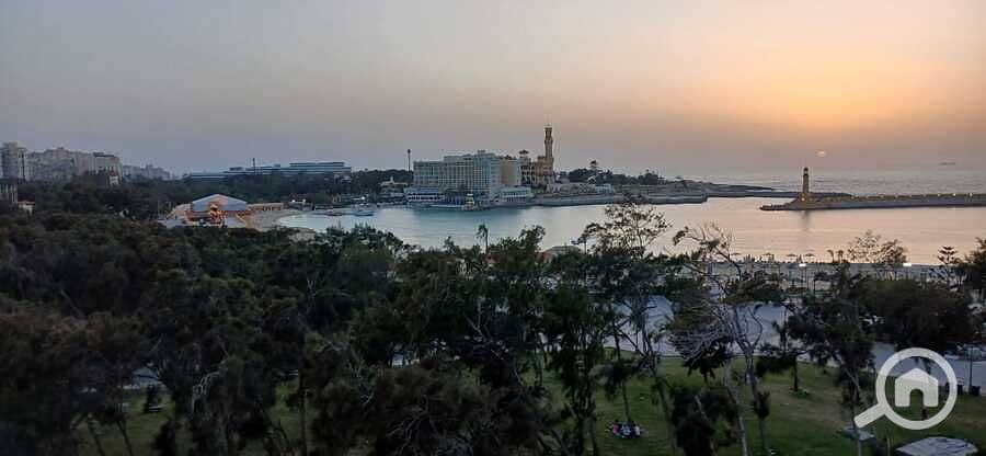 22 WhatsApp Image 2025-04-26 at 16.32. 38. jpeg