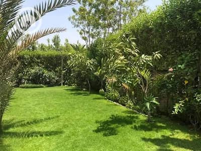 شقة 4 غرف نوم للبيع في القاهرة الجديدة، القاهرة - FB_IMG_1762661889277. jpg