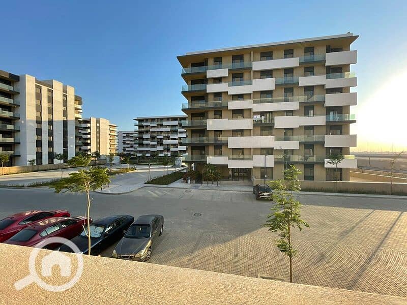 12 369738956_1360524718147980_5474022382409949971_n. jpg