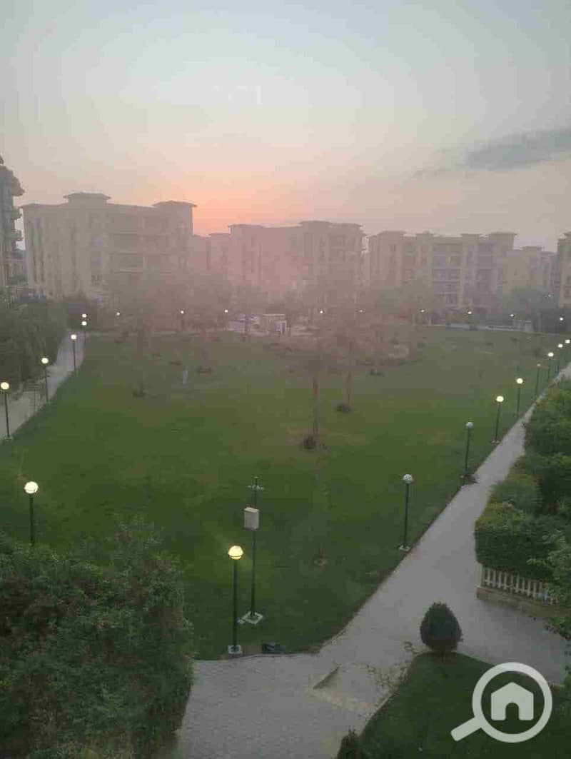 1000658184. jpg 1000658184. jpg